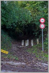 005_5046_8.jpg