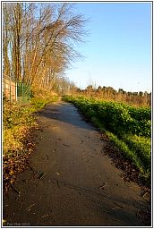 005_6999_69.jpg