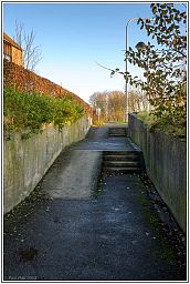 005_7007_77.jpg