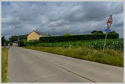 006_0104_31.jpg