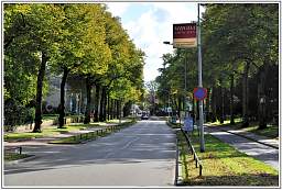 _d3s6049_3.jpg