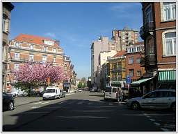 img_2935_5.jpg