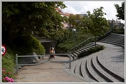 dsc_1305_12.jpg