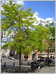 img_1645_1.jpg