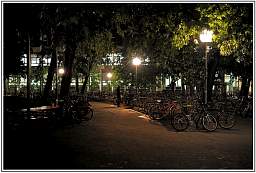 _d3s1057_5.jpg