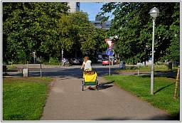 _d3s1120_13.jpg
