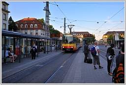 _d3s1273_19.jpg