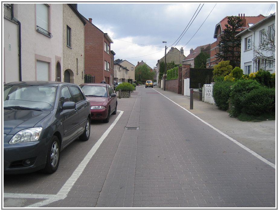 St_Pieters_leeuw_Meerweg.jpg