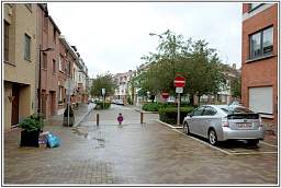 _d3s1501_9.jpg