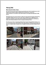 viborg_dk_1_29.jpg