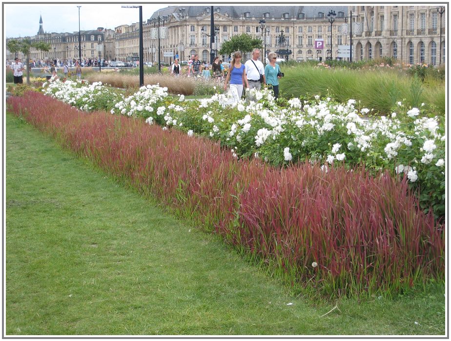 Bordeaux_8.jpg