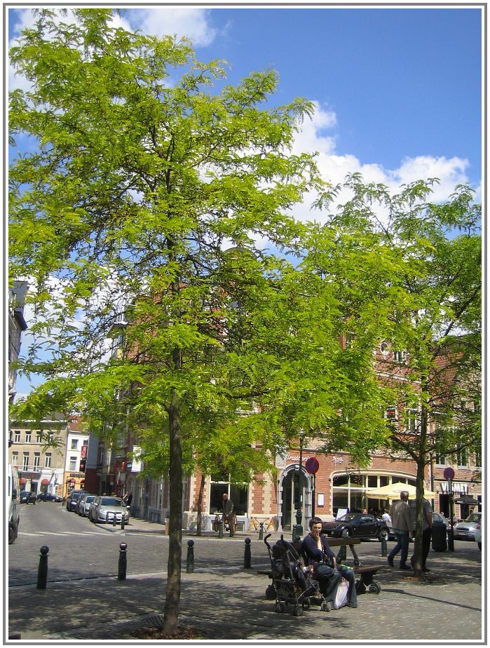 Bxl_Ste_Catherine.jpg