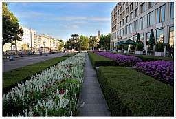 _d3s1113_1.jpg