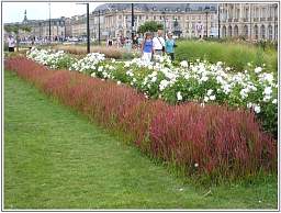 bordeaux_8_14.jpg