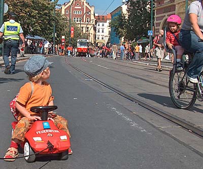 den_bez_aut1.jpg