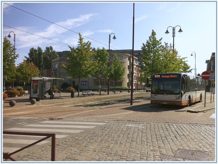 Berchem_hunderenveld.jpg