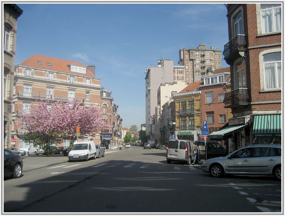 BXL_r_Noyer.jpg