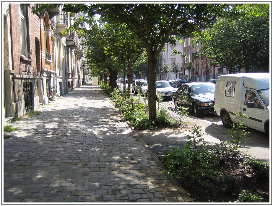Schaerbeek.jpg