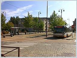 berchem_hunderenveld_40.jpg