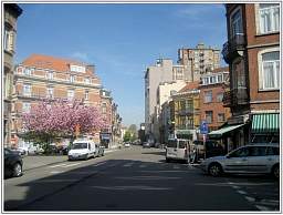 bxl_r_noyer_58.jpg