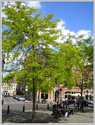 bxl_ste_catherine_63.jpg